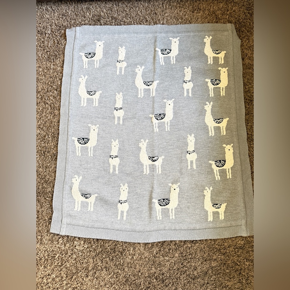 Creative Co-Op Brown and Gray Textured Blanket/D030